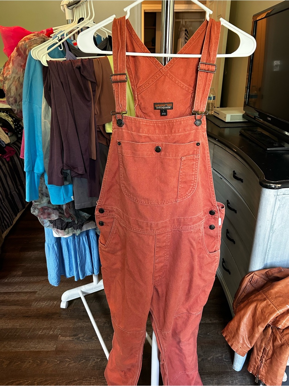 Patagonia Women's Rust Overalls